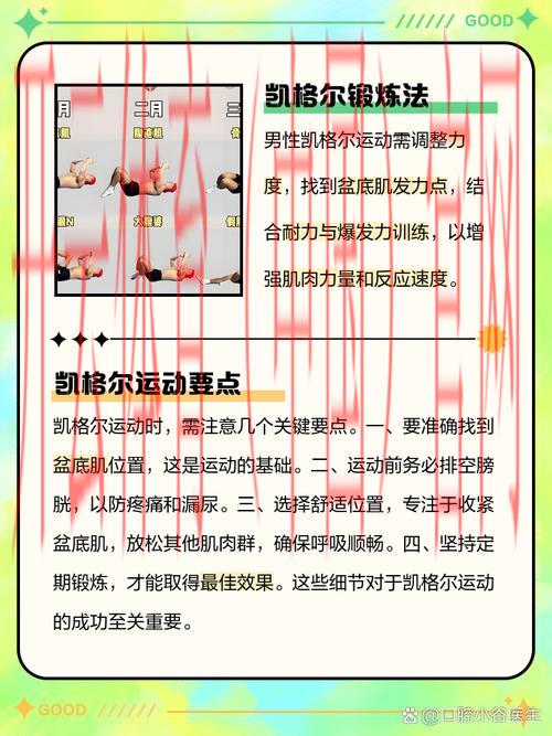 kaiyuncom体育,帮助您快速掌握运动技巧 kaiyuncom体育,帮助您快速掌握运动技巧